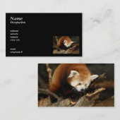 Carte De Visite Panda rouge (Devant / Derrière)