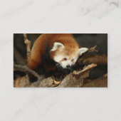 Carte De Visite Panda rouge (Dos)