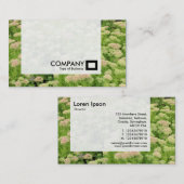 Carte De Visite Panel - Sedum (Joie d'automne) (Devant / Derrière)