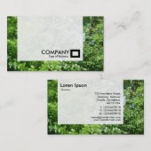 Carte De Visite Panel - Summer Breeze (Devant / Derrière)