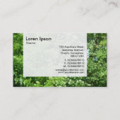 Carte De Visite Panel - Summer Breeze (Dos)