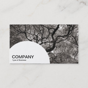 Carte De Visite Panneau demi-cercle - Arbre de Magnolia