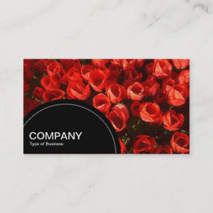 Carte De Visite Panneau demi-cercle (points) - Tulipes rouges