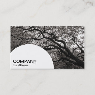 Carte De Visite Panneau en demi-cercle - Arbre de Magnolia 03