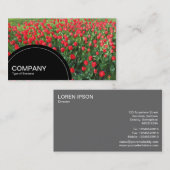 Carte De Visite Panneau en demi-cercle (points) - Lit de tulipes r (Devant / Derrière)