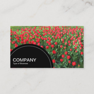 Carte De Visite Panneau en demi-cercle (points) - Lit de tulipes r