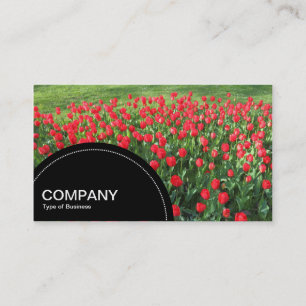 Carte De Visite Panneau en demi-cercle (points) - Lit de tulipes r