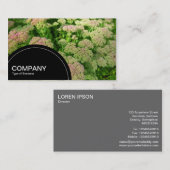 Carte De Visite Panneau en demi-cercle (points) - Sédum Automne Gl (Devant / Derrière)