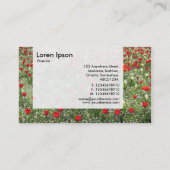 Carte De Visite Panneau - Lit de tulipes (Dos)