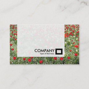 Carte De Visite Panneau - Lit de tulipes
