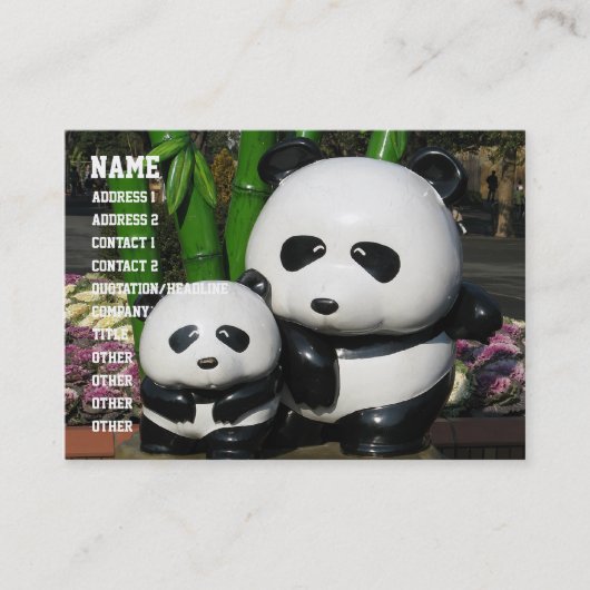 Carte De Visite Panneau Panda du zoo Ueno (Devant)