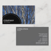 Carte De Visite Panneau semi-cercle (points) - Bouleau d'argent (Devant / Derrière)