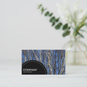 Carte De Visite Panneau semi-cercle (points) - Bouleau d'argent (Debout devant)