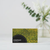 Carte De Visite Panneau semi-cercle (points) - Lit de marguerites  (Debout devant)