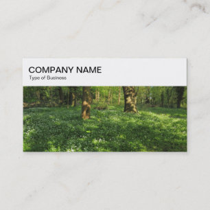 Carte De Visite Panneau supérieur - Bois