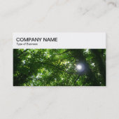 Carte De Visite Panneau supérieur - Soleil brillant à travers les (Devant)