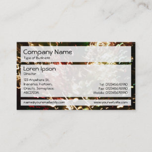 Carte De Visite Panneaux 02 - Lampe optique Fibre