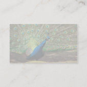 Carte De Visite Paon (Dos)