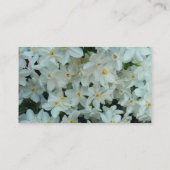 Carte De Visite Paperwhite Narcissus Fleurs blanches délicates (Dos)
