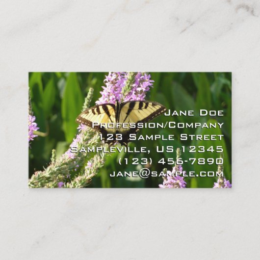 Carte De Visite Papillon à queue d'hirondelle sur des fleurs sauva (Devant)
