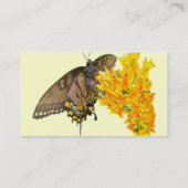 Carte De Visite Papillon à queue épaisse de tigre (Papilio glaucas (Dos)