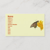 Carte De Visite Papillon à queue épaisse de tigre (Papilio glaucas (Devant)