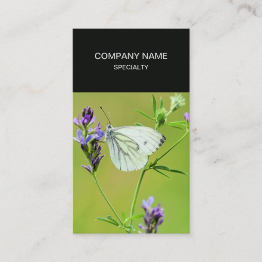 Carte De Visite Papillon blanc à veines vertes (Devant)