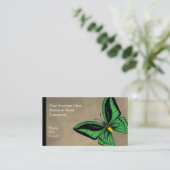 Carte De Visite Papillon de Birdwing de cairns dorsal et ventral (Debout devant)