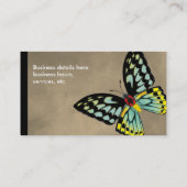 Carte De Visite Papillon de Birdwing de cairns dorsal et ventral (Dos)