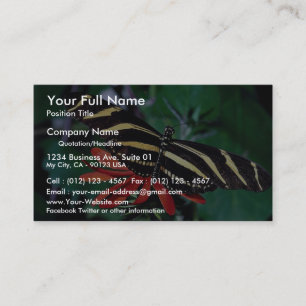 Carte De Visite Papillon de zèbre sur la fleur flamboyante
