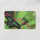 Carte De Visite Papillon Jay (Dos)