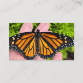 Carte De Visite Papillon monarque sur fleur chrysanthème (Dos)