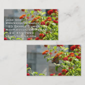 Carte De Visite Papillon monarque sur le papillon rouge Bush (Devant / Derrière)