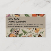 Carte De Visite Papillon Moth Nature Collection Dessin (Devant)