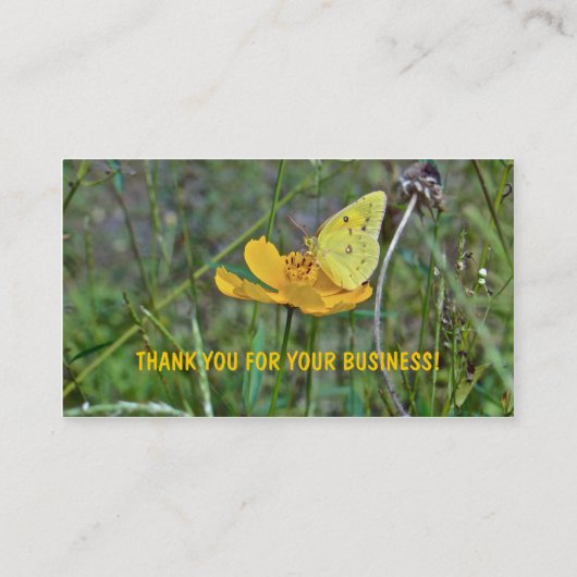 Carte De Visite Papillon Sulpher (Dos)