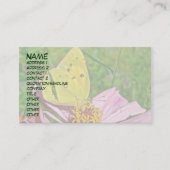 Carte De Visite Papillon Sulpher (Devant)