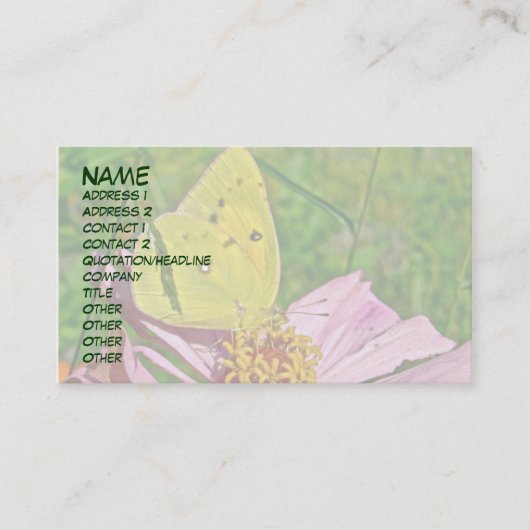 Carte De Visite Papillon Sulpher (Devant)