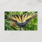 Carte De Visite Papillon Swallowtail II à Shenandoah (Dos)