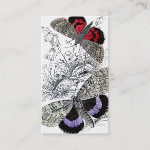 Carte De Visite Papillons