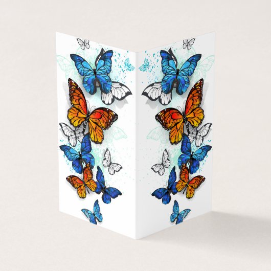 Carte De Visite Papillons volants Morpho et Monarch (Extérieur)