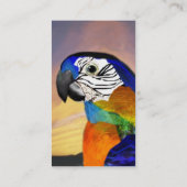 Carte De Visite PARROS HYPER / ARA ROUGE ET BLEU, noir (Dos)