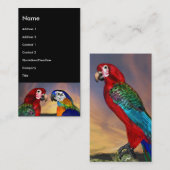 Carte De Visite PARROS HYPER / ARA ROUGE ET BLEU, noir (Devant / Derrière)