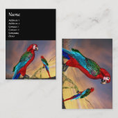 Carte De Visite PARROS HYPER / ARA ROUGE, noir (Devant / Derrière)