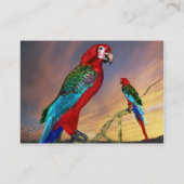 Carte De Visite PARROS HYPER / ARA ROUGE, noir (Dos)