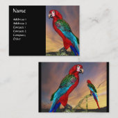 Carte De Visite PARROS HYPER / ARA ROUGE, noir (Devant / Derrière)