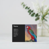 Carte De Visite PARROS HYPER / ARA ROUGE, noir (Debout devant)