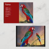 CARTE DE VISITE PARROS HYPER / ARBE ROUGE (Devant / Derrière)