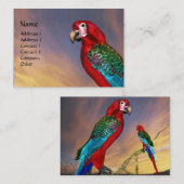 CARTE DE VISITE PARROS HYPER / ARBE ROUGE (Devant / Derrière)