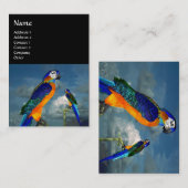 CARTE DE VISITE PARROS HYPER / BLEUE ARA (Devant / Derrière)