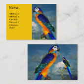 CARTE DE VISITE PARROS HYPER / BLEUE ARA (Devant / Derrière)